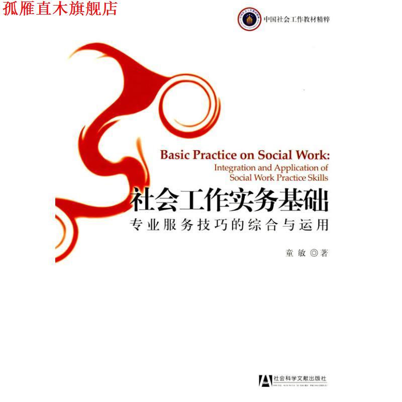 【正版书】 社会工作实务基础:专业服务技巧的综合与运用 童敏 著 社会科学文献出版社
