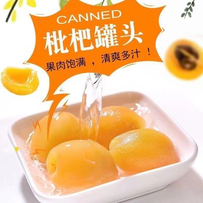 艾丽莎枇杷罐头无添加蔗糖即食特大果新鲜琵琶果肉大瓶装糖水饮料