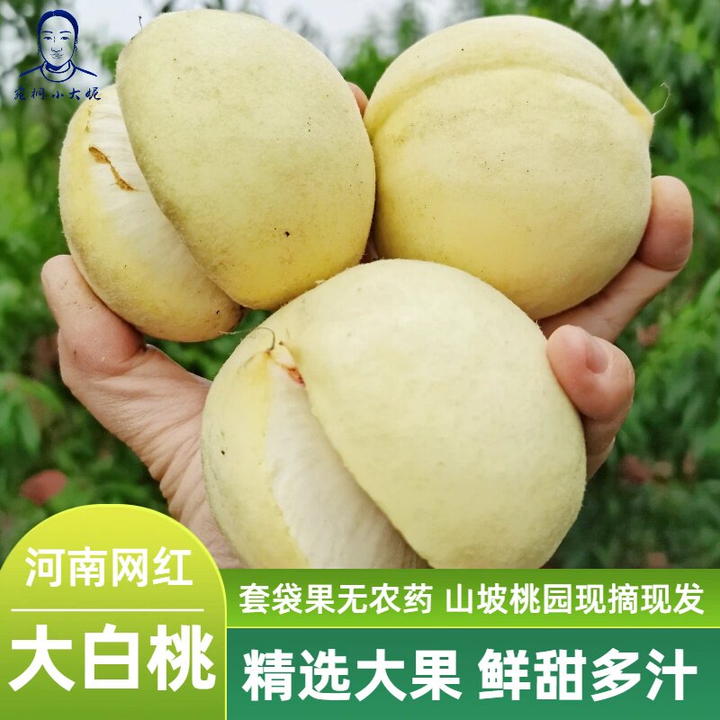 河南大白桃金秋蜜红蜜丑桃甜桃