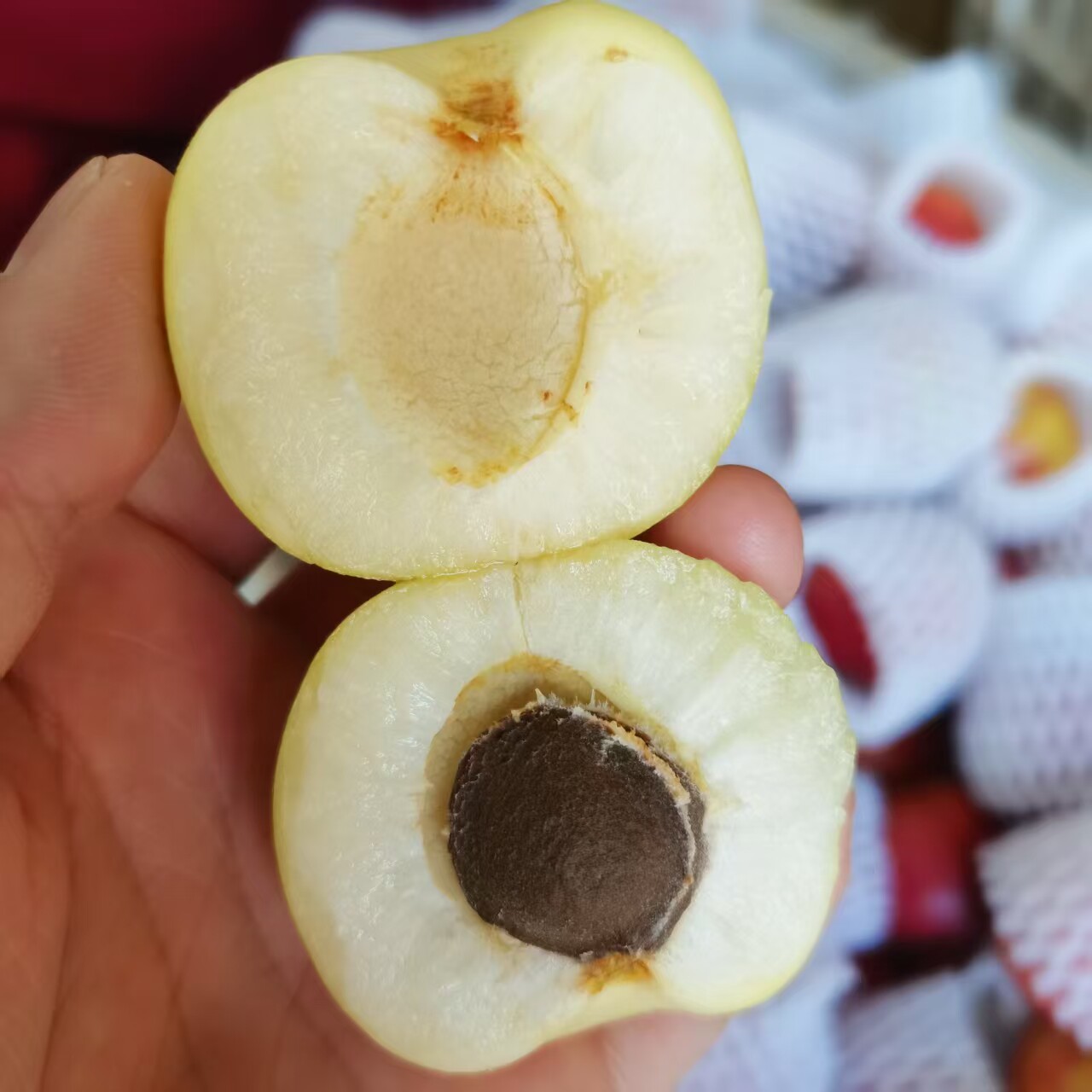 苹果甜杏河南南阳桐柏特产新鲜水果当季现摘现发孕妇水果大白杏