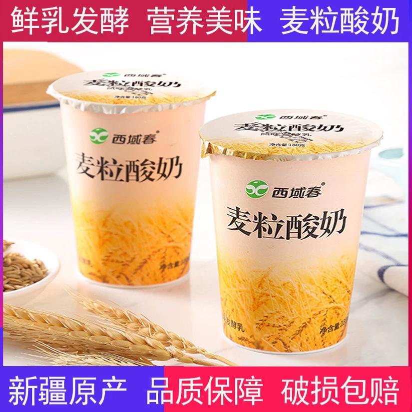 新疆酸奶特产西域春麦粒燕麦仁酸奶180g*12杯装早餐低温