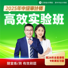 正保会计网校2025年中级审计师视频网课课件题库高效实验班