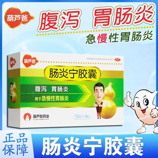 葫芦爸肠炎宁胶囊48粒清热利湿行气胃肠炎腹泻小儿消化不良正品LH
