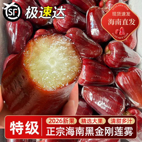 黑金刚莲雾2026新果清甜多汁