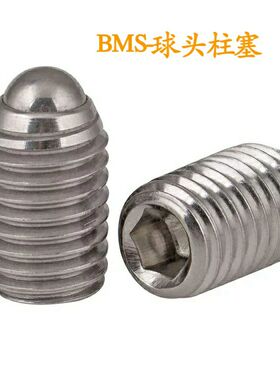 BMS3/4/5/6/8/10/12/16标准件精密不锈钢球头柱塞 C-BSX10-10P