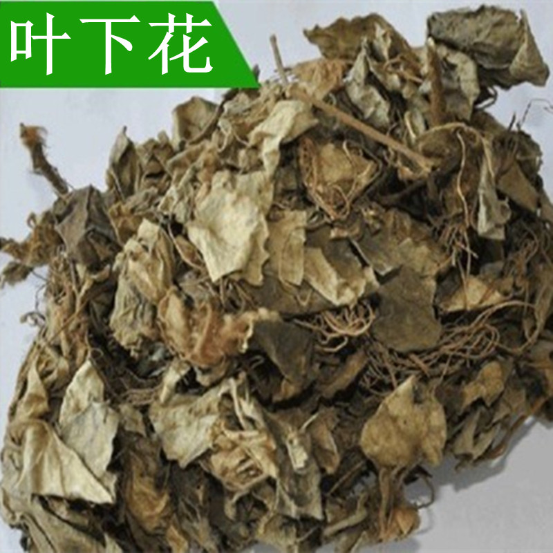 中药材  叶下花  别名:地黄连  追风箭  500克  统