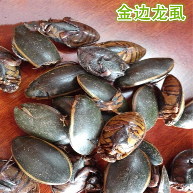 中药材 金边龙虱 别名:水鳖虫 射尿龟 水龟子 尿缸贼 500克 统