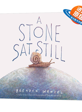 石头一动也不动 英文原版 精装 A Stone Sat Still 儿童绘本 Brendan Wenzel 凯迪克奖得主布兰登·文策尔 英文版 进口英语书籍