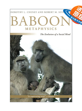 英文原版 Baboon Metaphysics 狒狒形而上学 社会心智的进化 生物学教授Dorothy L. Cheney 英文版 进口英语原版书籍