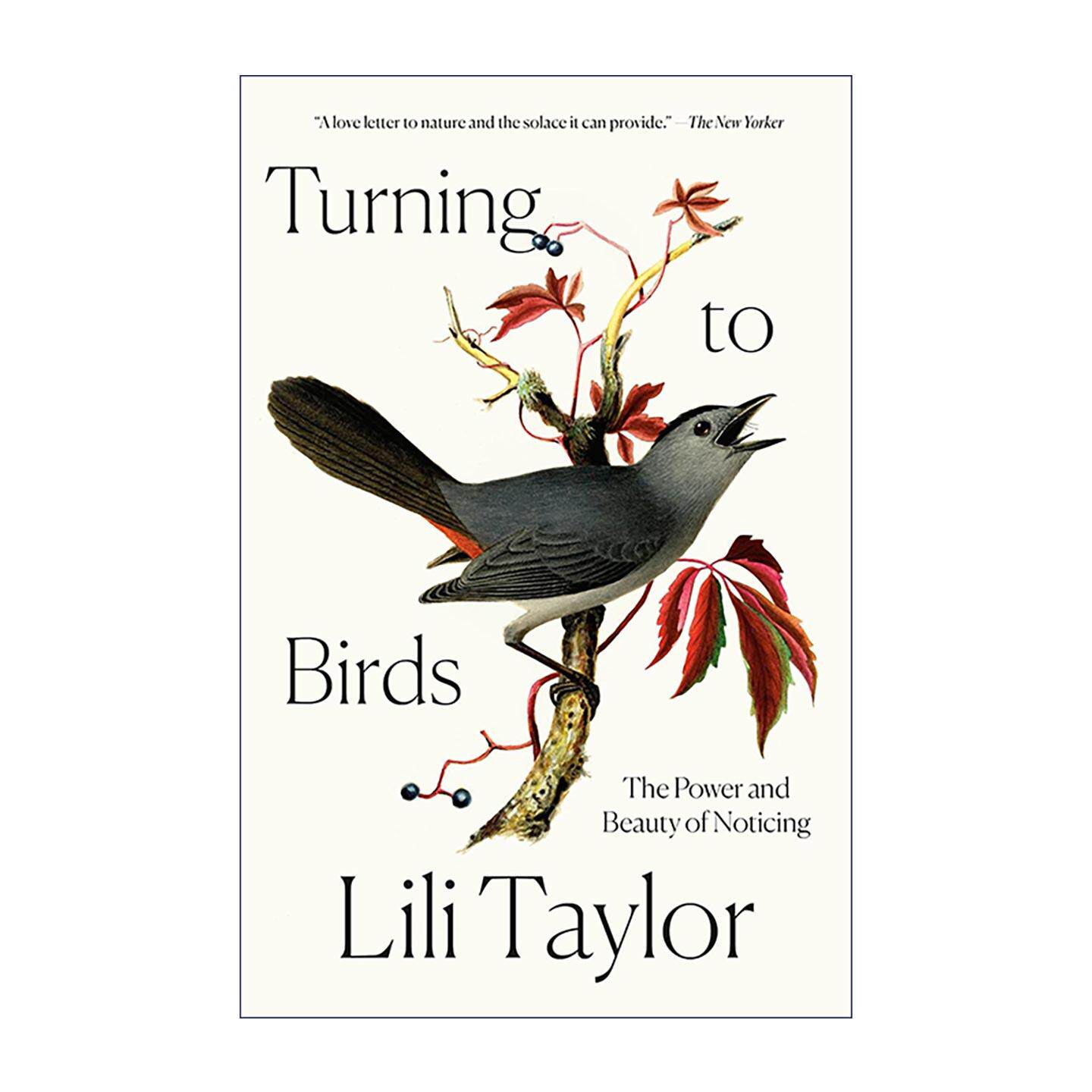 英文原版 Turning to Birds 望向飞鸟 专注观察的力量与诗意 观鸟手记 正念疗愈随笔 英文版 进口英语原版书籍