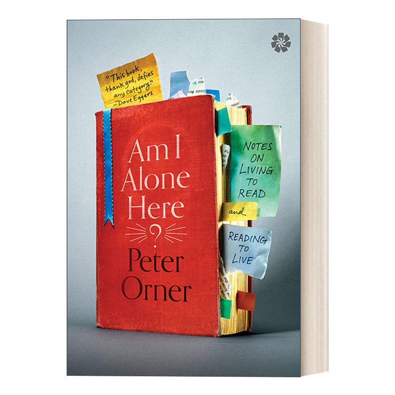 英文原版 am i alone here 我在这里是孤独的吗 为阅读而生活和为生活
