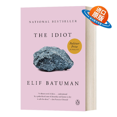 英文原版小说 The Idiot 白痴 现代小说 2018普利策小说奖入围 英文版 进口英语原版书籍