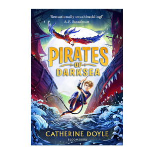 Doyle 书籍 进口英语原版 英文版 儿童冒险小说 风暴守护者三部曲作者Catherine 暗海海盗 Darksea Pirates 英文原版