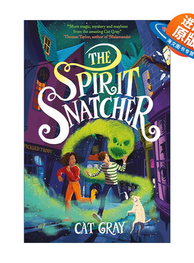 英文原版 The Spirit Snatcher 灵魂捕手 青少年奇幻神秘小说读物 英文版 进口英语原版书籍