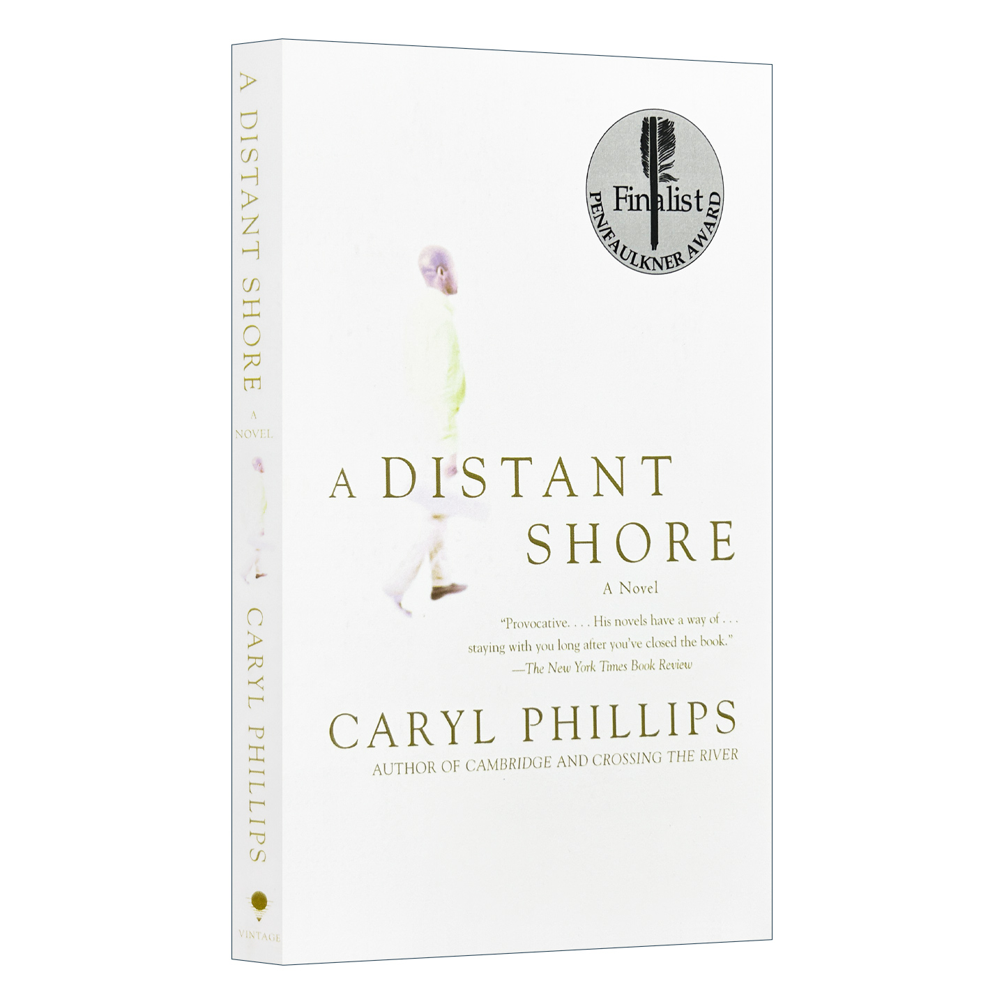英文原版小说 A Distant Shore 遥远的海岸 Caryl Phillips卡里尔·菲利普斯 Vintage International 英文版 进口英语原版书籍