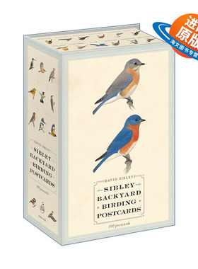 英文原版 Sibley Backyard Birding Postcards 西布利鸟类明信片 观鸟指南 David Sibley 英文版 进口英语原版书籍