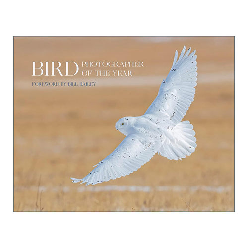 英文原版 Bird Photographer of the Year Collection 6 世界鸟类摄影比赛 精装野生鸟类图册 英文版 进口英语原版书籍
