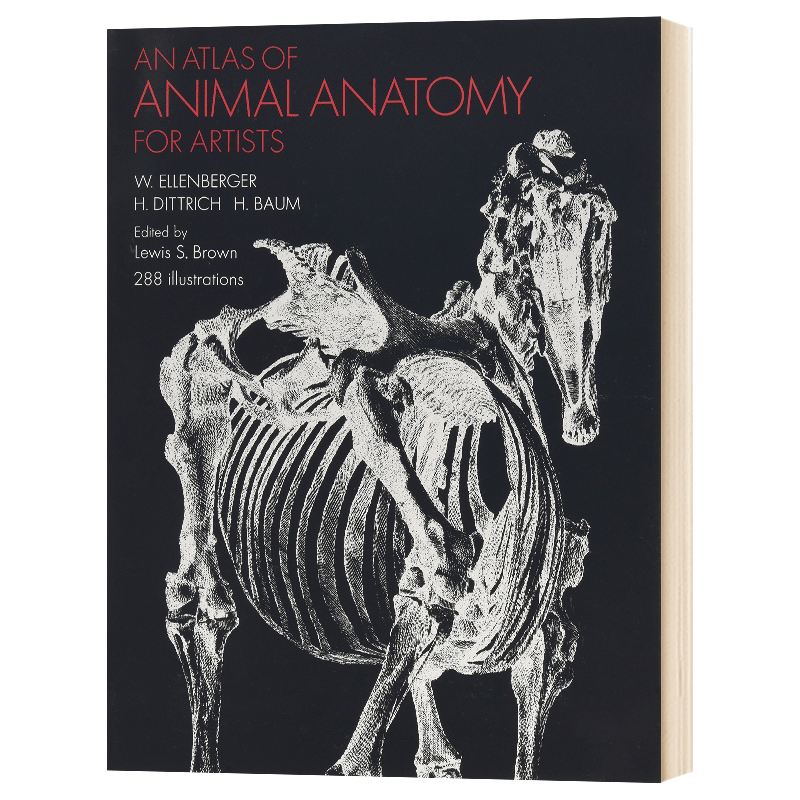 动物解剖图谱 英文原版 An Atlas of Animal Anatomy for Artists 动物绘画技巧参考书 英文版进口原版英语艺术类书籍