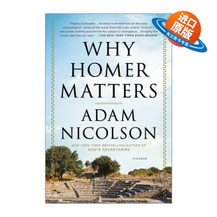 Matters Homer 荷马3000年 英文版 书籍 英文原版 进口英语原版 Why