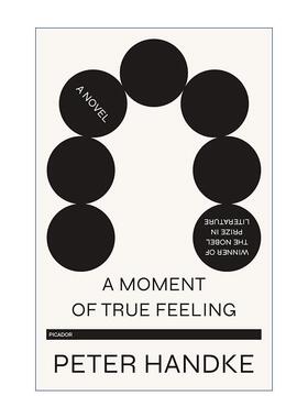 英文原版 A Moment of True Feeling 英文版 进口英语原版书籍