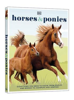 英文原版 Horses and Ponies 马匹和小马百科全书 马鞍马种马靴障碍赛 DK科普百科精装 英文版 进口英语原版书籍