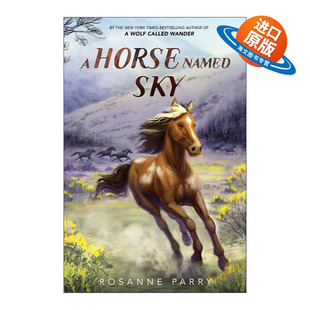 荒野之声系列 野马 英文原版 生存故事 进口英语原版 Named 英文版 Horse 书籍 Sky 动物主题插图小说 精装