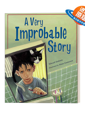 英文原版 A Very Improbable Story 一个可能性很小的故事 概率问题 7-10岁数学探险故事 理解数学概念 英文版 进口英语原版书籍