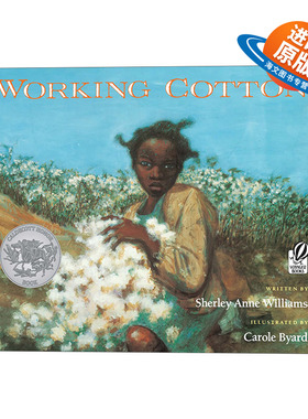 英文原版 Working Cotton 摘棉花的故事 凯迪克奖绘本 平装大开 Carole Byard 英文版 进口英语原版书籍