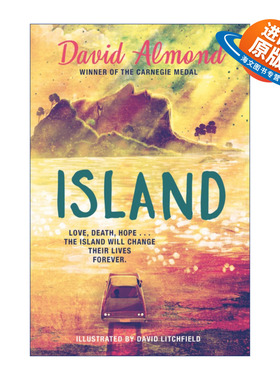 英文原版 Island 岛屿 David Litchfield绘制插画版 Skellig作者大卫阿尔蒙德 Almond David 精装 英文版 进口英语原版书籍