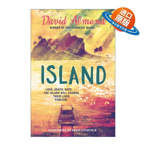 英文原版 Island 岛屿 David Litchfield绘制插画版 Skellig作者大卫阿尔蒙德 Almond David 精装 英文版 进口英语原版书籍
