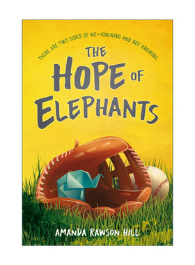 英文原版 The Hope of Elephants 大象的希望 希望是值得坚持的 儿童小说 精装 Amanda Rawson Hill 英文版 进口英语原版书籍
