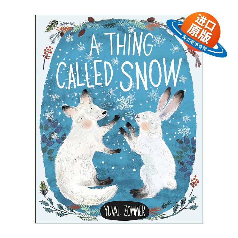 英文原版 A Thing Called Snow 一种叫做雪的东西 儿童自然精装绘本 脚下的世界作者尤瓦?左墨Yuval Zommer 进口英语原版书籍