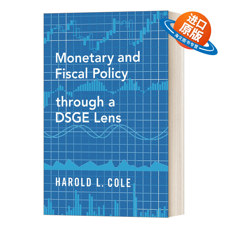 英文原版 Monetary and Fiscal Policy through a DSGE Lens 基于DSGE模型的货币与财政政策 英文版 进口英语原版书籍