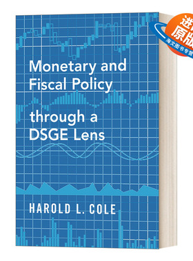 英文原版 Monetary and Fiscal Policy through a DSGE Lens 基于DSGE模型的货币与财政政策 英文版 进口英语原版书籍