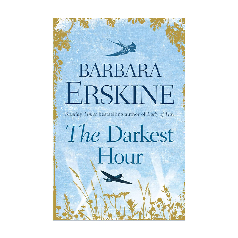 英文原版 The Darkest Hour 至暗之时 芭芭拉?厄金斯 畅销历史悬疑小说 英文版 进口英语原版书籍
