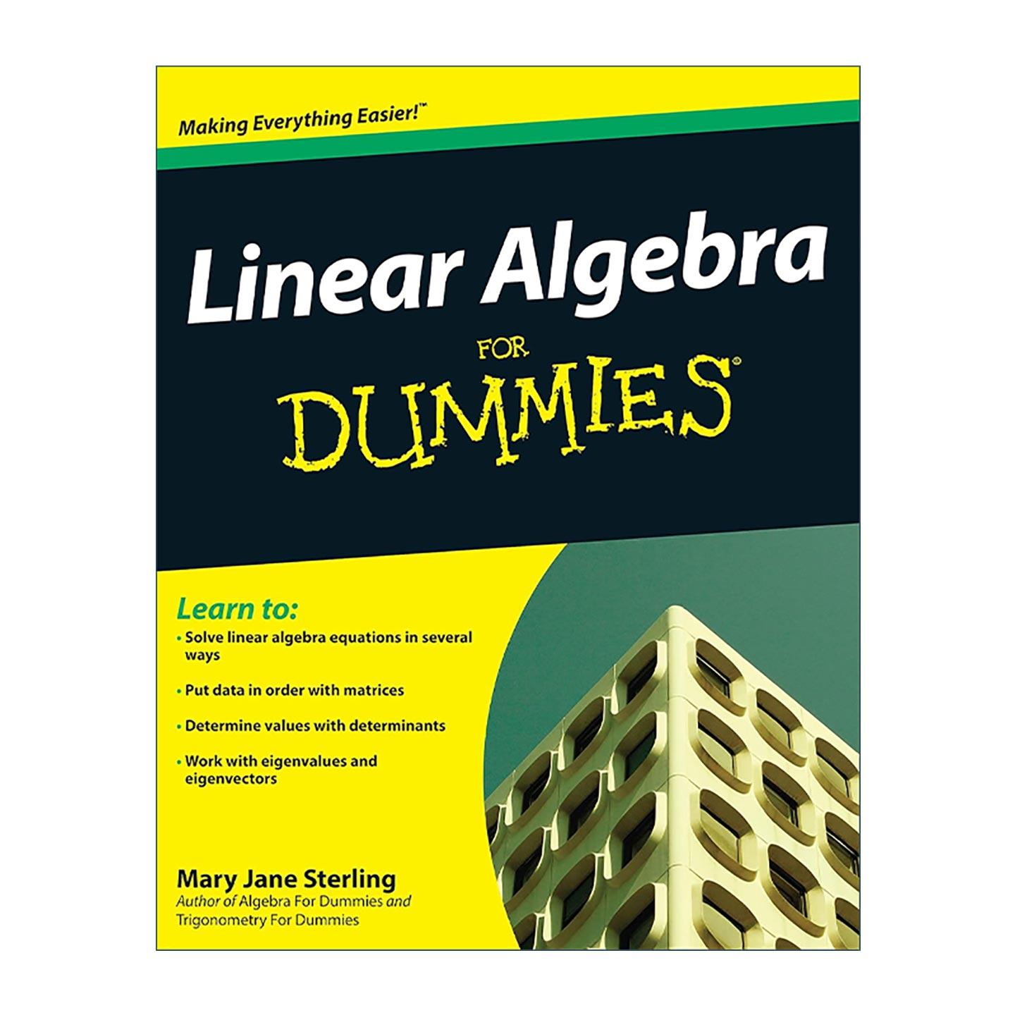 英文原版 Linear Algebra for Dummies 线性代数达人迷 英文版 进口英语原版书籍