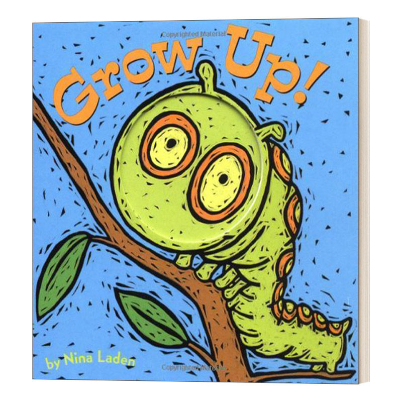 英文原版绘本 grow up 宝宝的躲猫猫游戏书 我长大了洞洞书 儿童启蒙