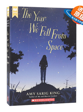 英文原版 The Year We Fell From Space 我们从太空坠落的那一年 英文版 进口英语原版书籍儿童外文书