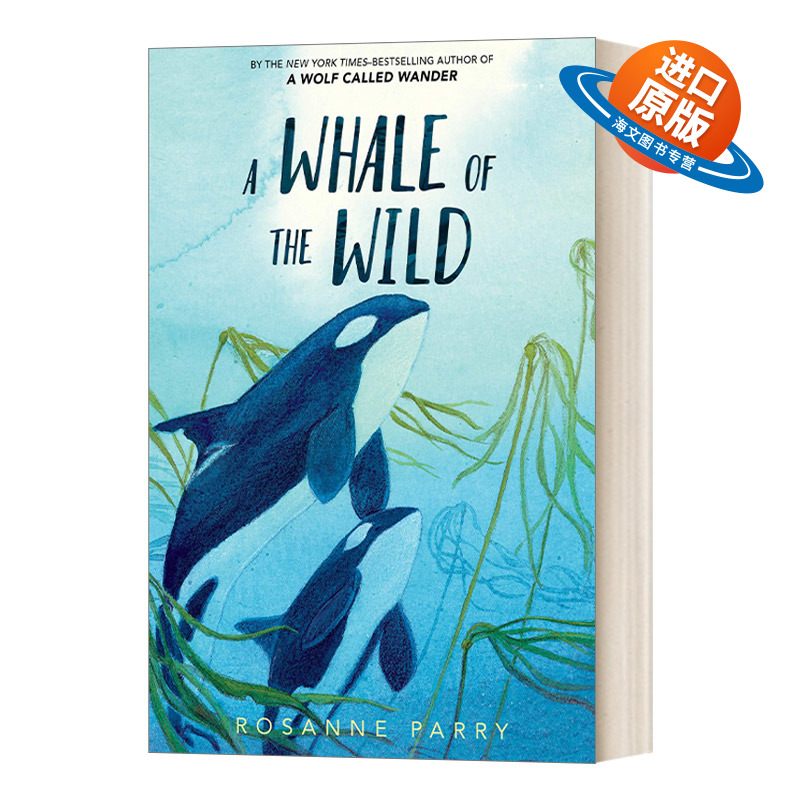 英文原版 A Whale of the Wild 野生鲸鱼 荒野之声系列 动物主题插图小说 儿童英语课外阅读 英文版 进口英语原版书籍