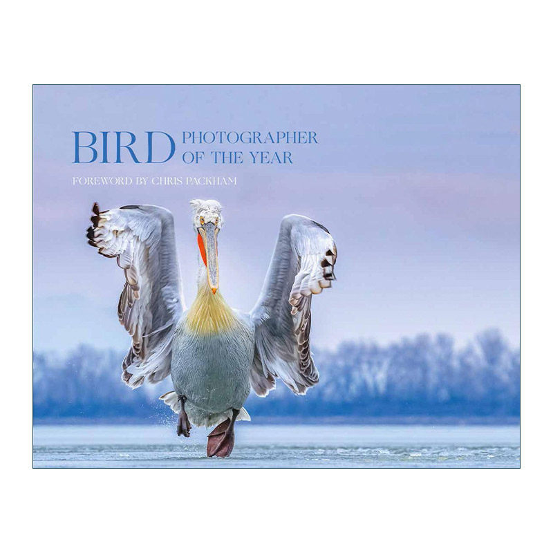 英文原版 Bird Photographer of the Year: Collection 4 世界鸟类摄影比赛 精装野生鸟类图册 英文版 进口英语原版书籍