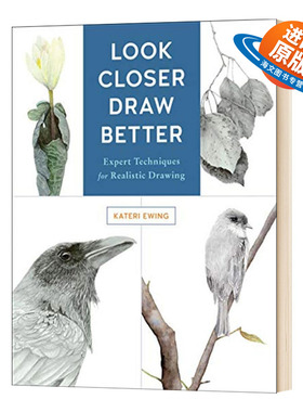 英文原版 Look Closer  Draw Better 看得更近 画得更好 写实绘画的专家技术 英文版 进口英语原版书籍