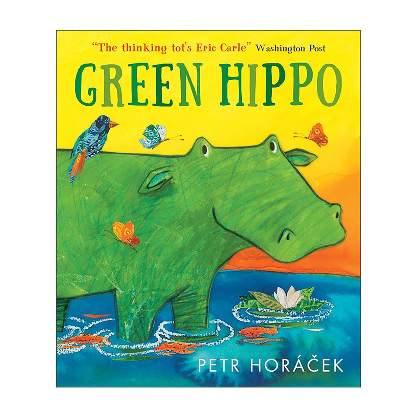 英文原版 Green Hippo 绿河马 儿童动物故事暖心绘本精装 插画师Petr Horacek 英文版 进口英语原版书籍