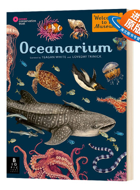 英文原版 Oceanarium 欢迎来到博物馆系列之海洋博物馆 Loveday Trinick 英文版 进口英语原版书籍儿童外文书