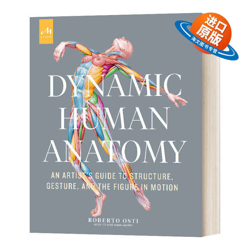 英文原版 精装 Dynamic Human Anatomy 动态人体解剖学 英文版 绘画技巧 艺用解剖 人体动态绘画入门 进口艺术英语原版书籍