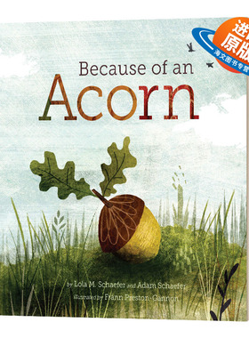 英文原版 精装 NRDC Because of an Acorn 因为一颗小种子 低幼亲子故事绘本 英文版 进口英语原版书籍儿童外文书