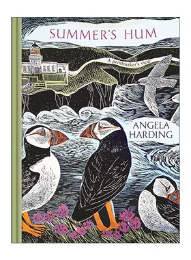 英文原版 Summer's Hum 季节版画四部曲 夏之絮语 艺术自然插画设定集精装 Angela Harding 英文版 进口英语原版书籍