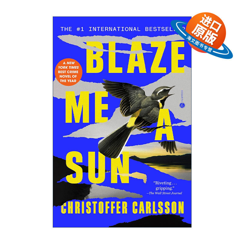 英文原版 Blaze Me a Sun 为我点燃太阳 犯罪悬疑小说 Christoffer Carlsson 英文版 进口英语原版书籍