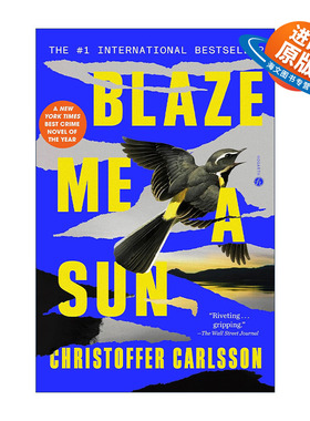 英文原版 Blaze Me a Sun 为我点燃太阳 犯罪悬疑小说 Christoffer Carlsson 英文版 进口英语原版书籍