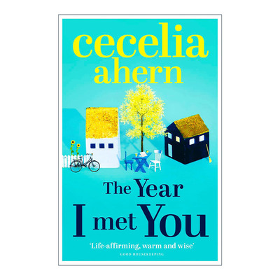 英文原版 The Year I Met You 这一年我和我遇见的奇迹 畅销小说家西西莉亚 埃亨 英文版 进口英语原版书籍