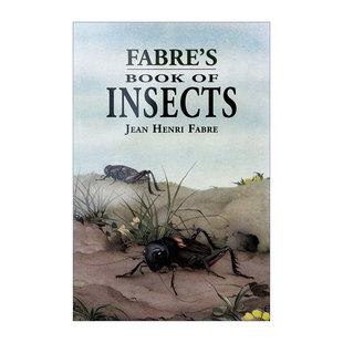 Book 进口原版 英文原版 英语书籍 英文版 Fabre Insects 法布尔昆虫记